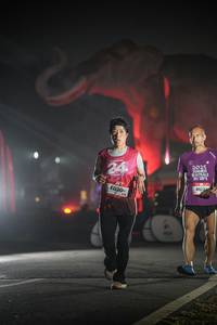 BIB: 
                            <button type="button" onclick="openModal(26531194)" class="btn btn-primary btn-sm float-right btn-popup" data-toggle="modal" data-target=".modal-high-quality">
                        <i class="fas fa-shopping-cart"></i> Add to Cart
                    </button>
                                            <button type="button" onclick="isThisMe(26531194, true)" class="btn btn-success btn-sm float-right btn-popup btn-isme hidden" data-toggle="tooltip" data-placement="bottom" title="นี่คือรูปของคุณใช่ไหม คลิกที่นี่เพื่อเอาเข้าอัลบั้ม">
                        <i class="fas fa-plus"></i> Add to album
                    </button>
                    <button type="button" onclick="isThisMe(26531194, false)" class="btn btn-warning btn-sm float-right btn-popup btn-isnotme hidden">
                        <i class="fas fa-ban"></i> Remove from album
                    </button>